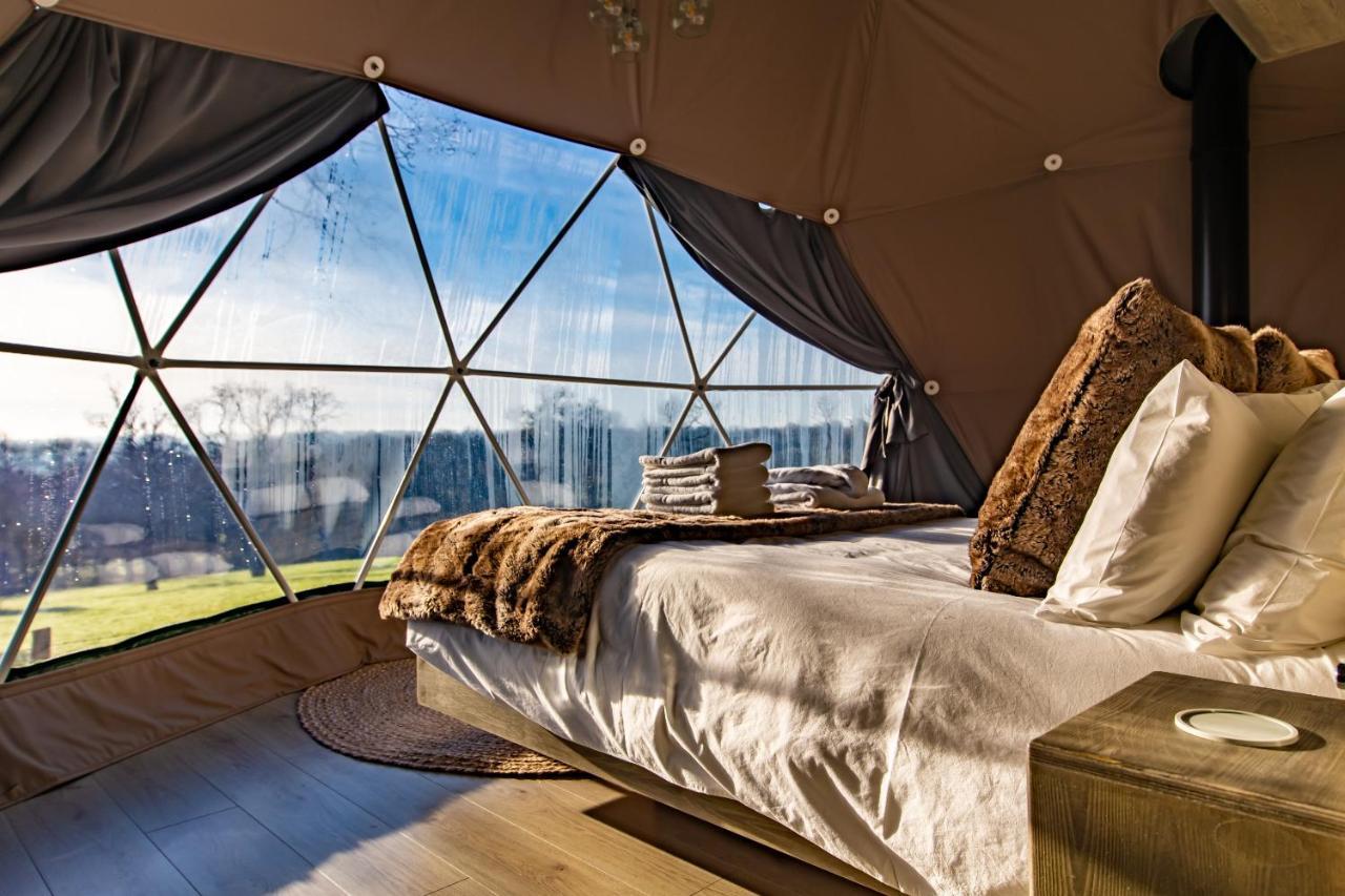 Luna Domes *
