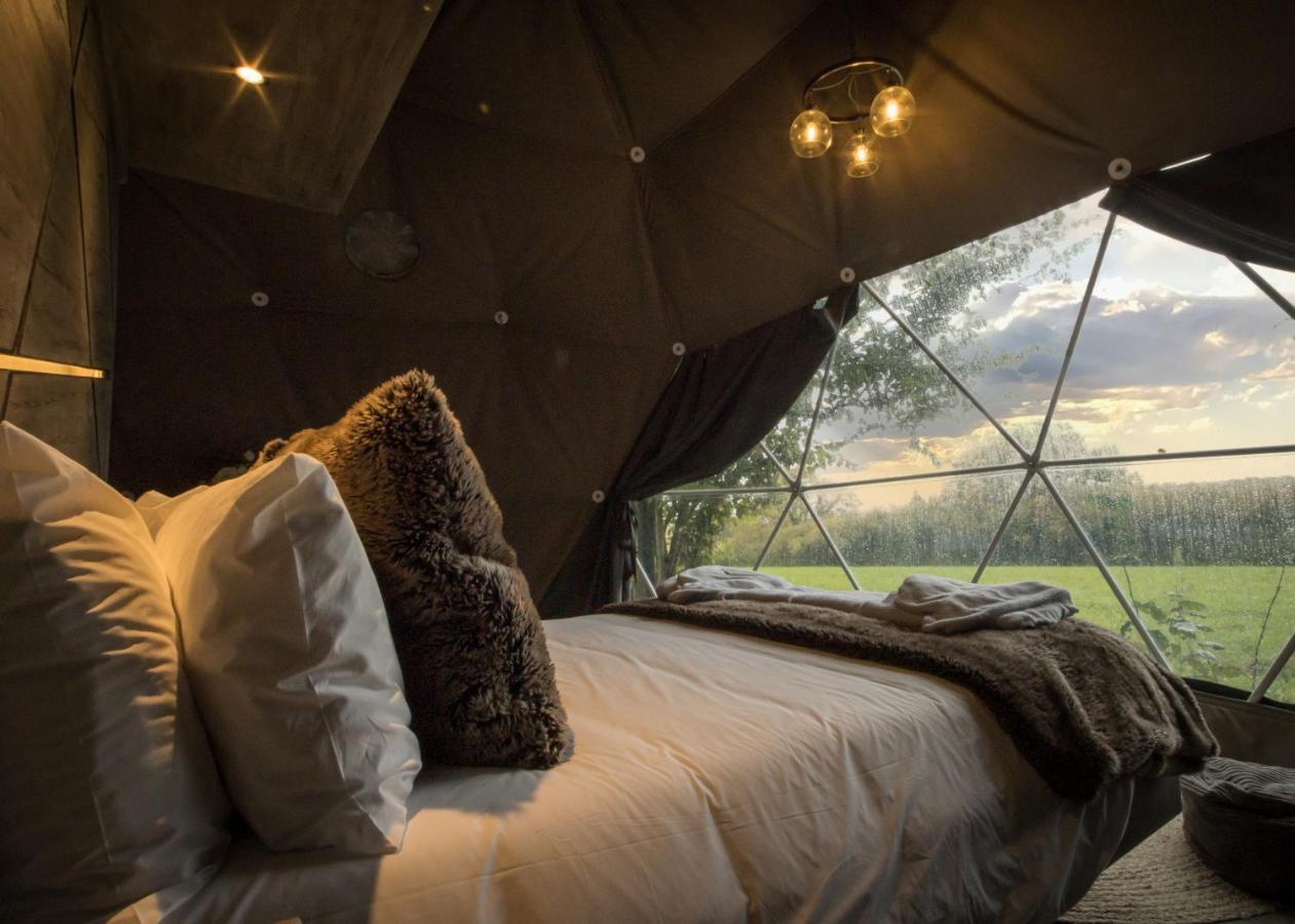 Lodge Luna Domes