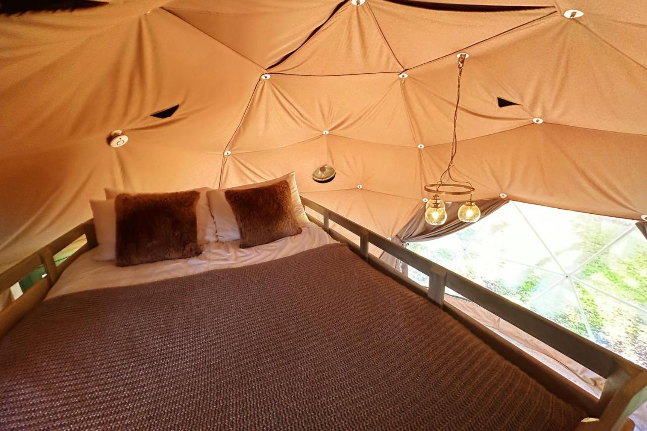 Luna Domes Chiddingstone