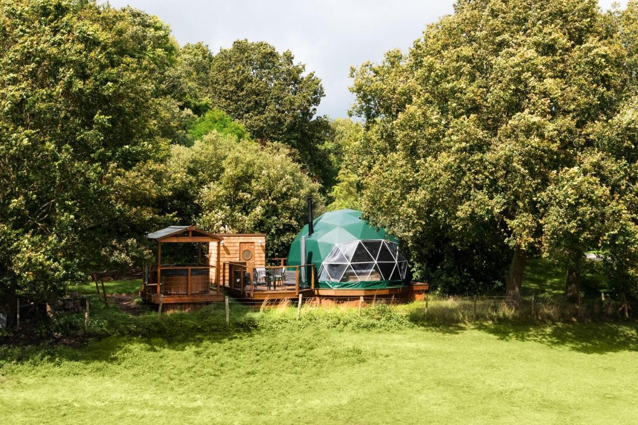Lodge Luna Domes Chiddingstone